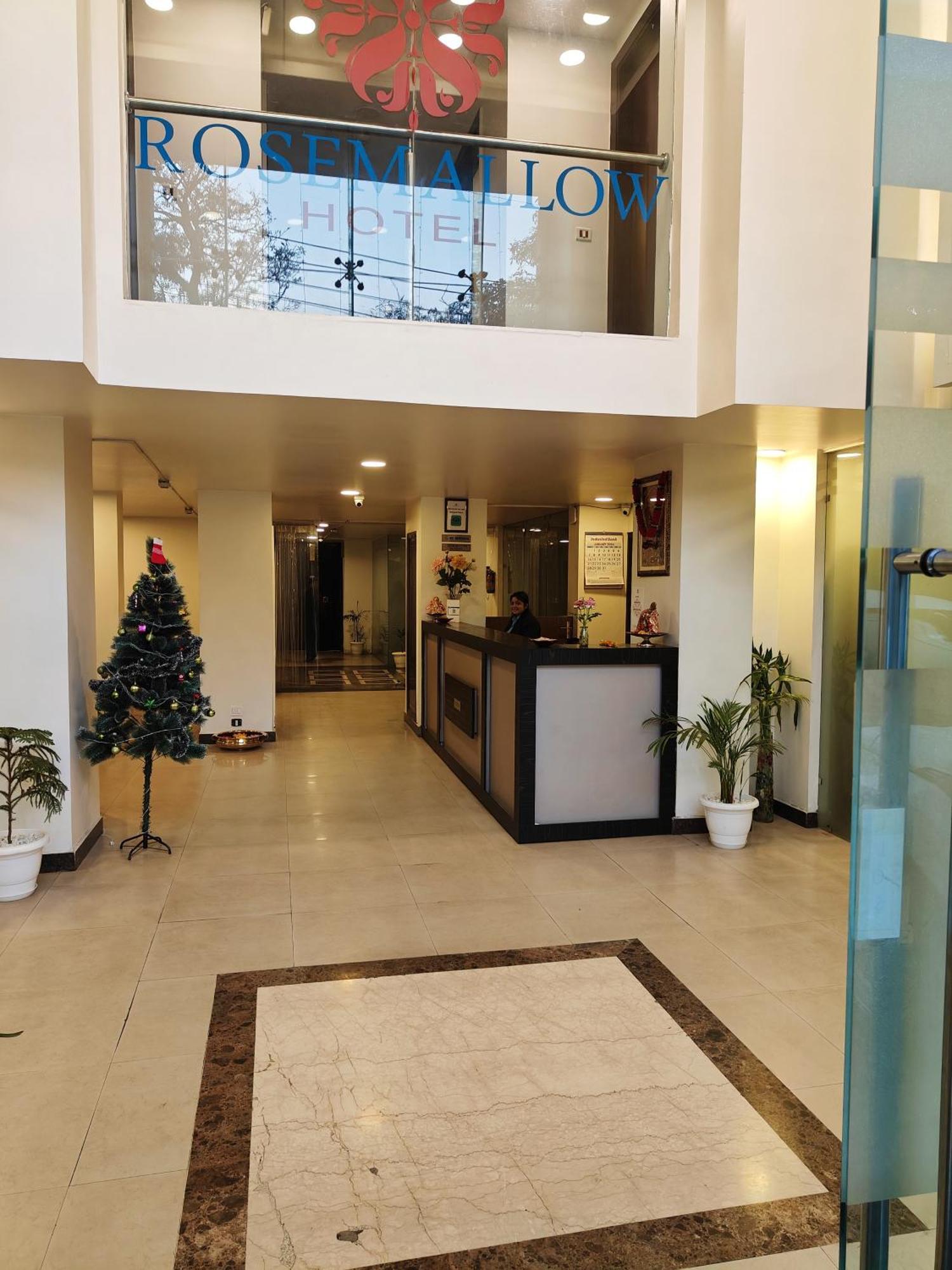Rosemallow Hotel Nuova Delhi Esterno foto